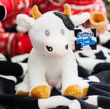 COWS Cream Ice Cream photo 5