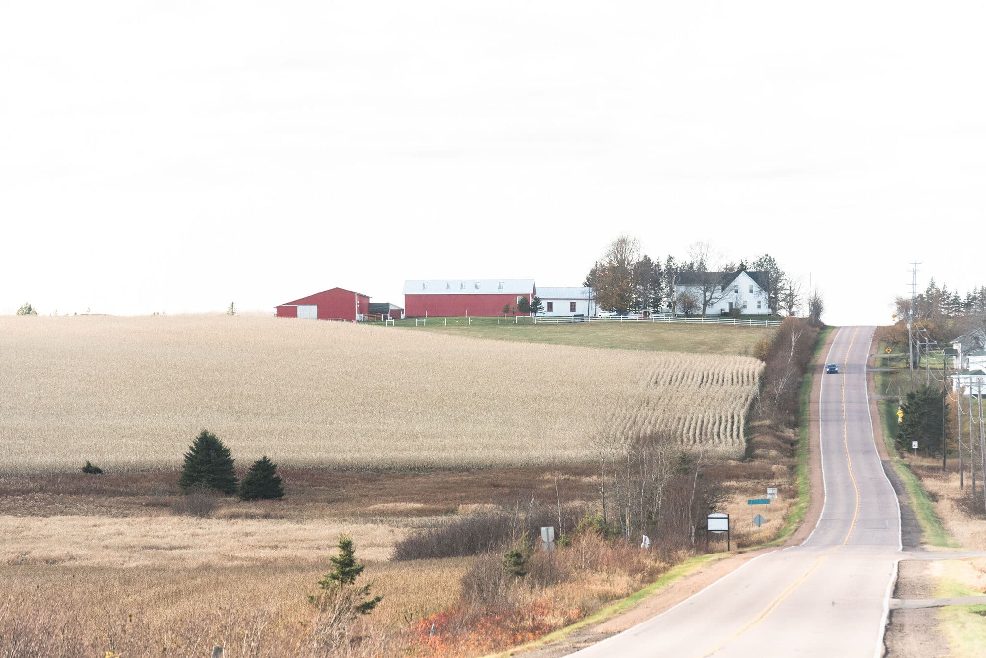 Island Hill Farm