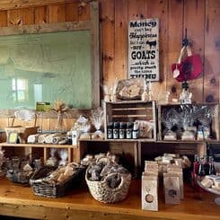 Island Hill Farm photo 4