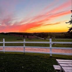 Island Hill Farm photo 5