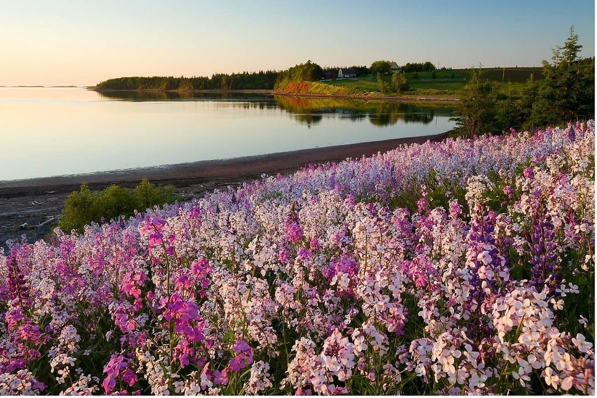 PEI Winery Tours