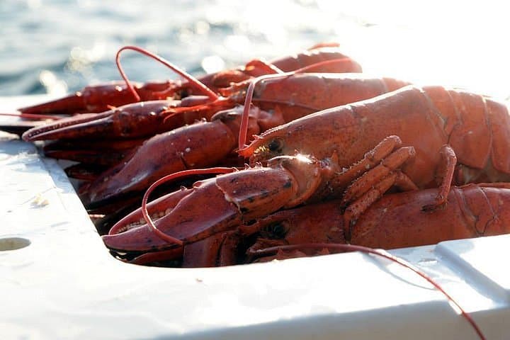 The Great PEI Floating Lobster Boil